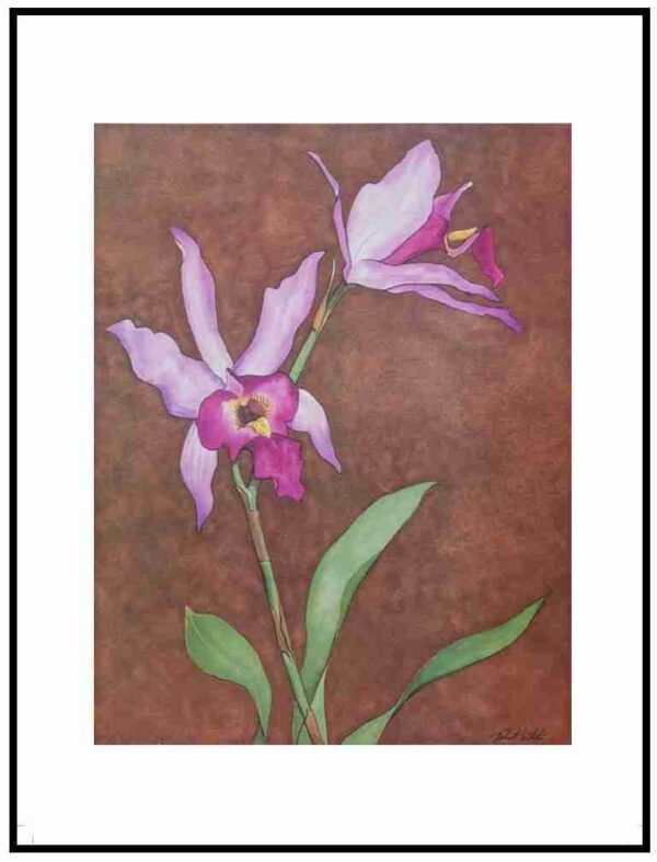 AIM 734 Orchids (S/N LIMITED EDITION)