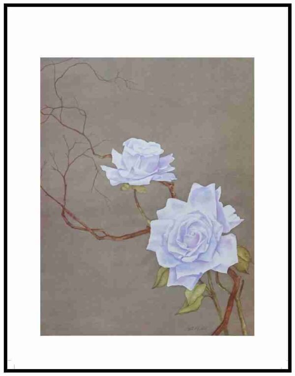 AIM 740 Roses (S/N LIMITED EDITION)